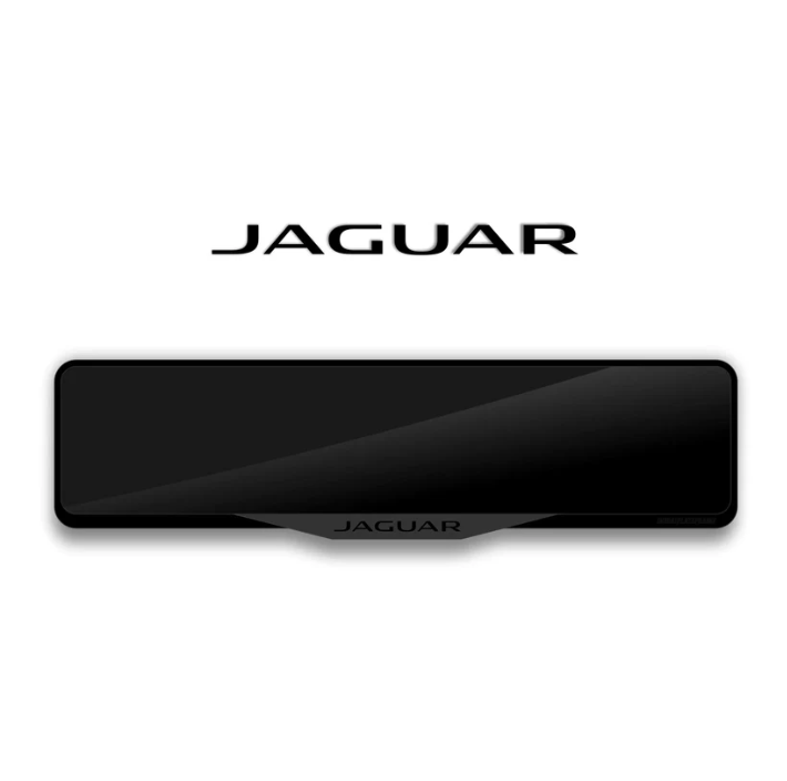 Jaguar Surround